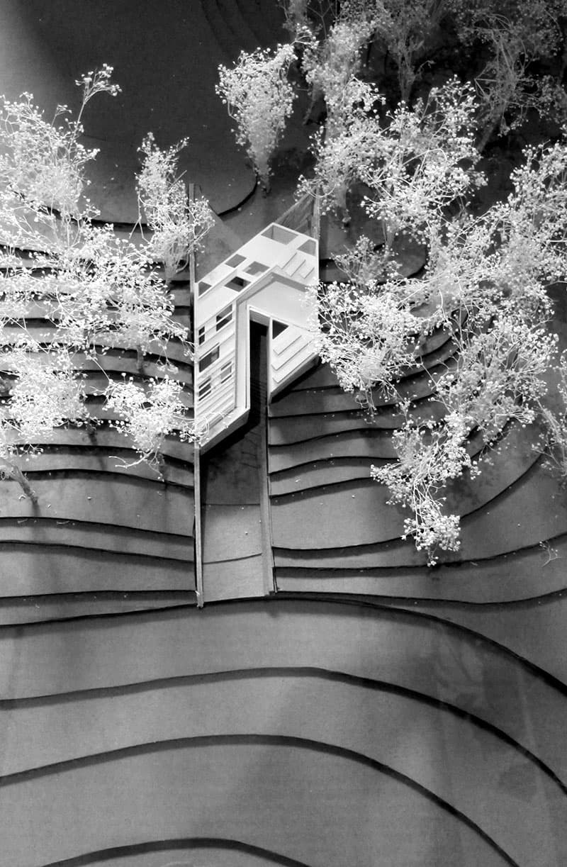 LO Lake House - image 5