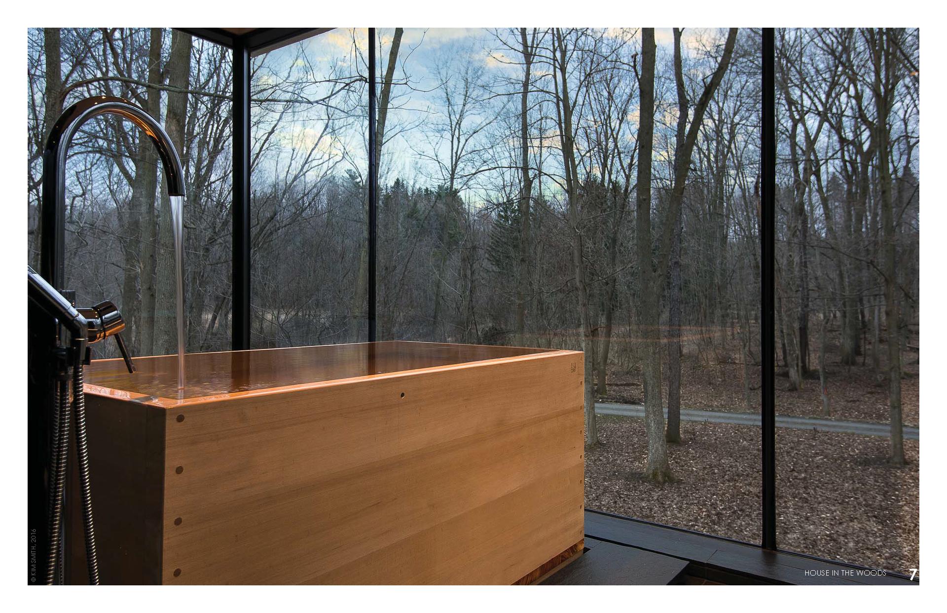 House in the Woods - image 7