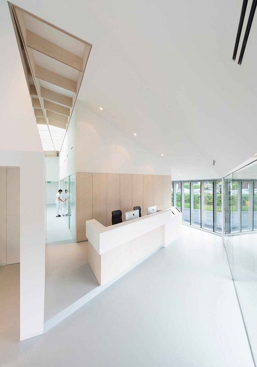 Ortho Wijchen - image 5