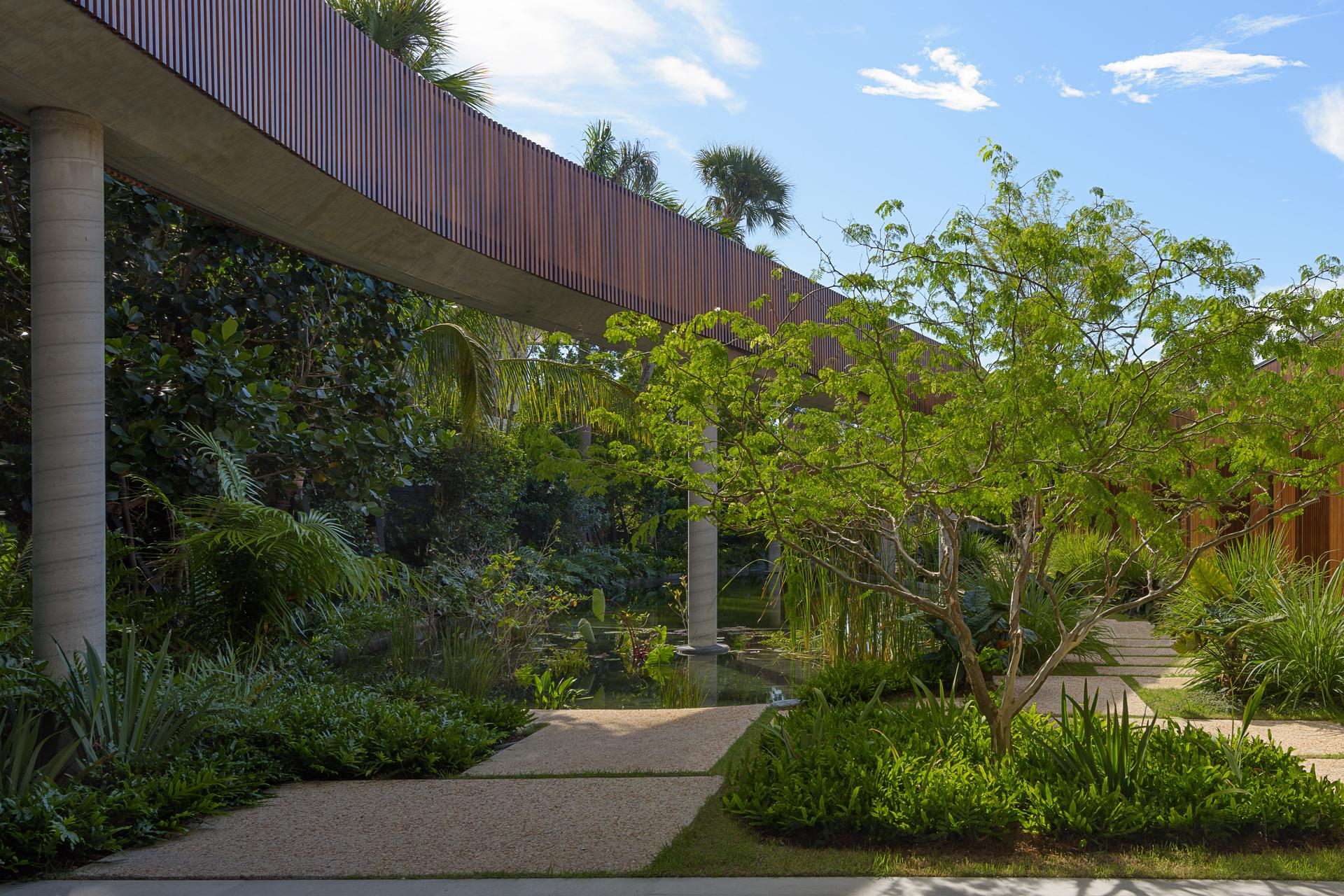 Pine Tree North Garden - image 9
