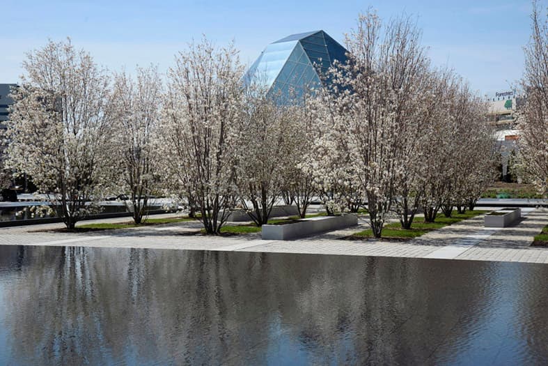 Aga Khan Park - image 3