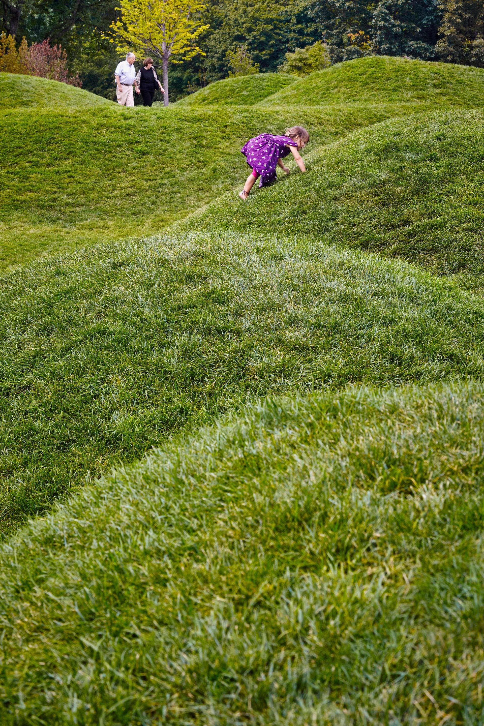 Chicago Botanic Garden - image 12
