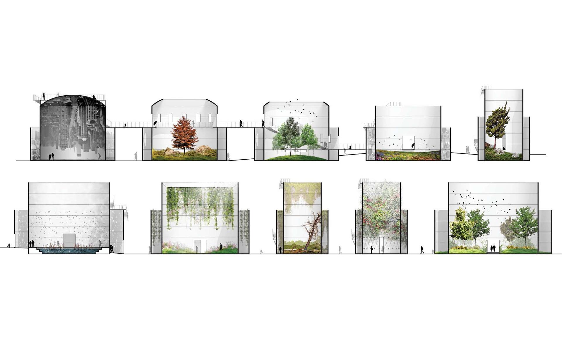 The Tanks - image 7