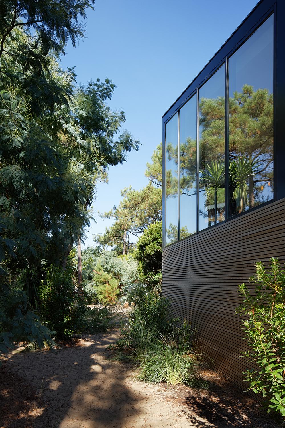 Holiday house with swimming pool in Cap Ferret (France) - image 6
