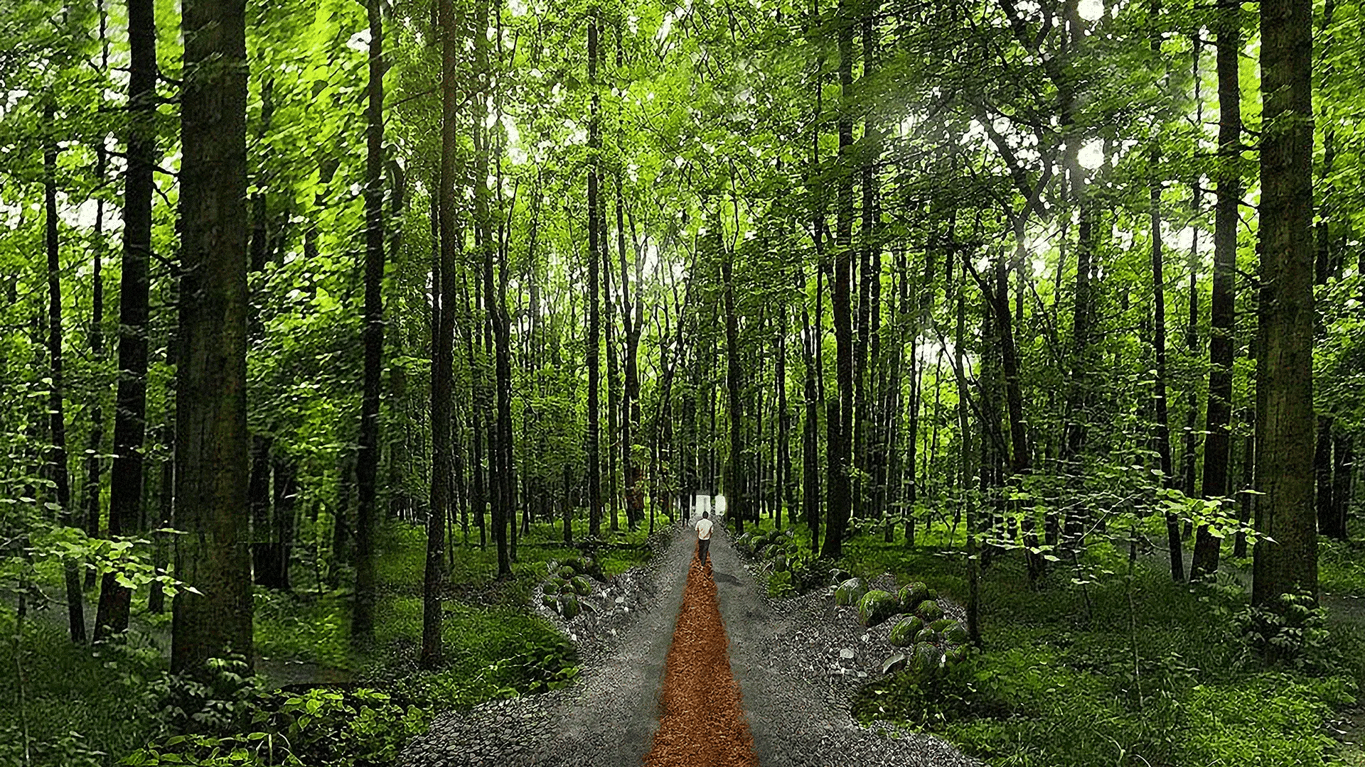 Parkorman - image 4