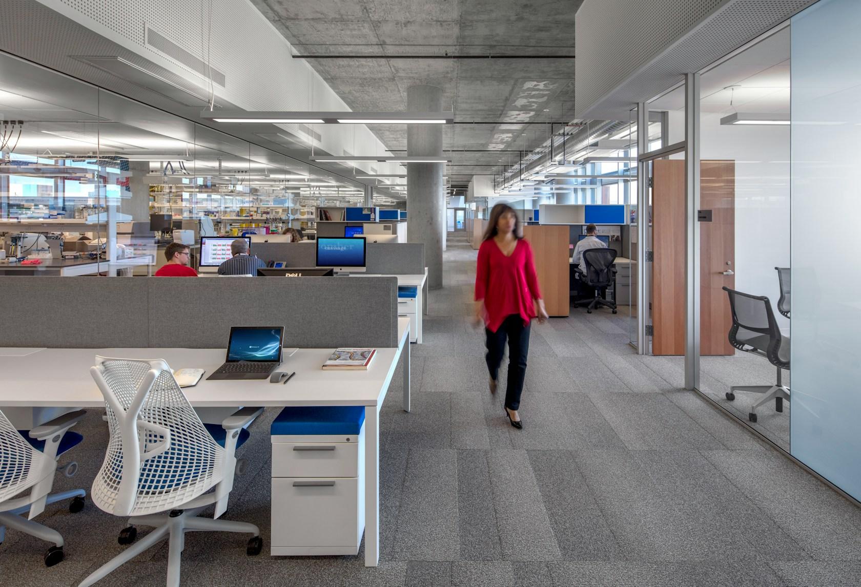 Biomedical Sciences Partnership Building, University of Arizona - image 7