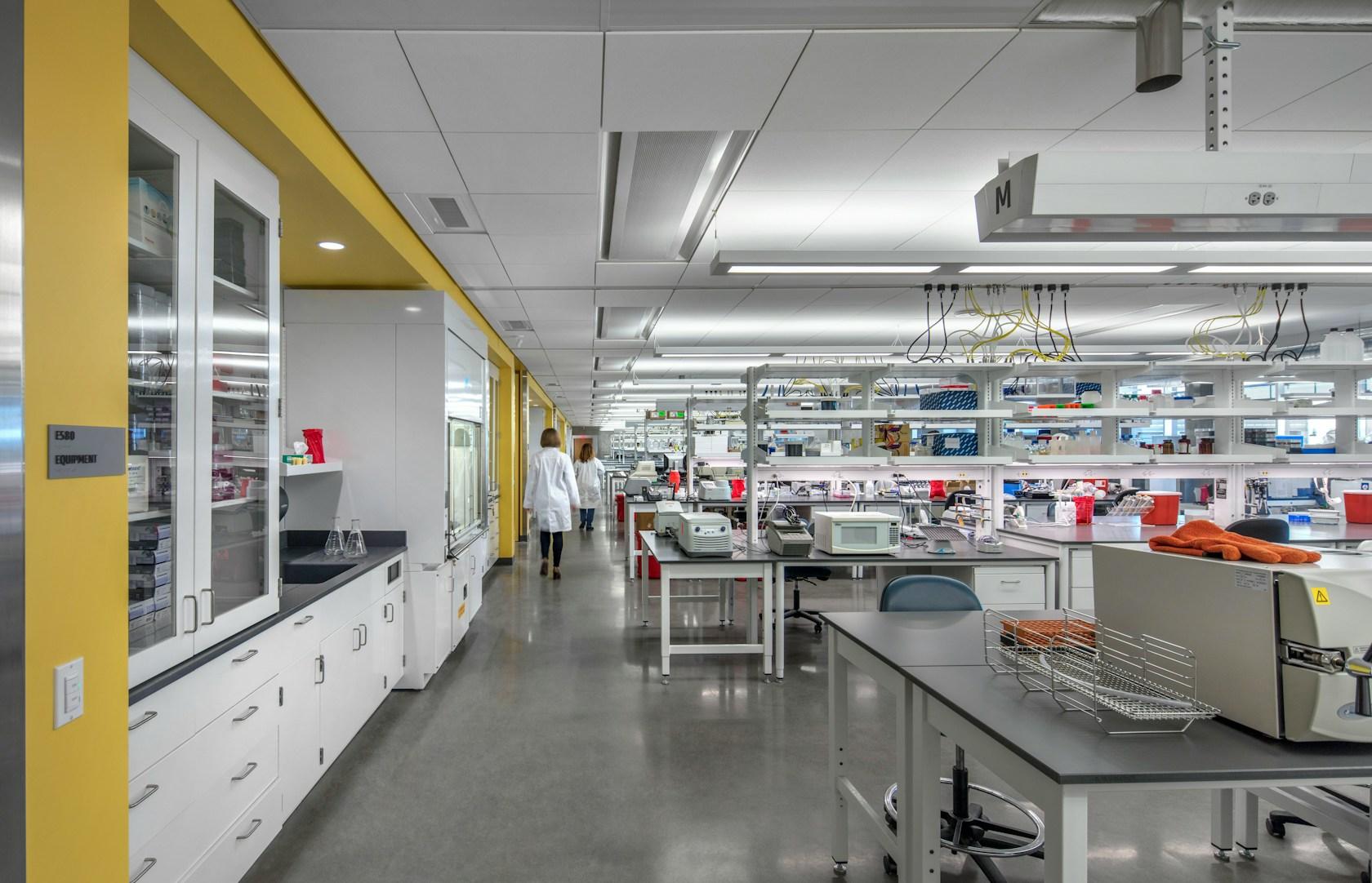 Biomedical Sciences Partnership Building, University of Arizona - image 8