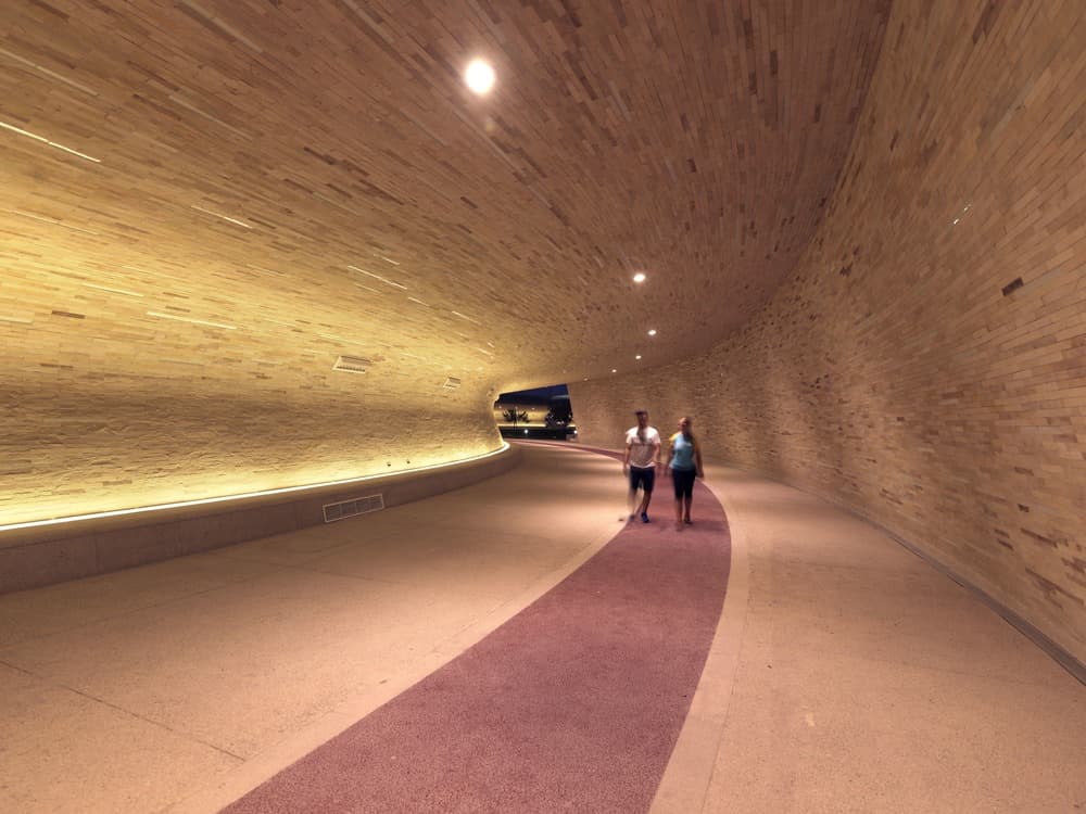 Oxygen Park, Education City, Doha - image 4