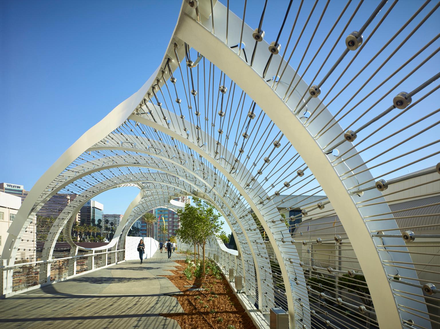 Rainbow Bridge - image 18