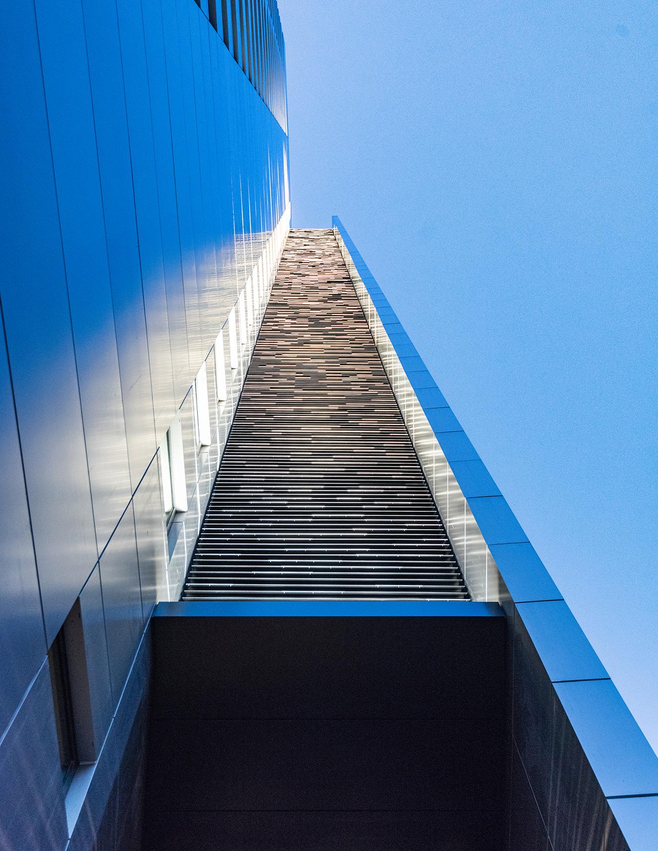 The House at Cornell Tech - image 9