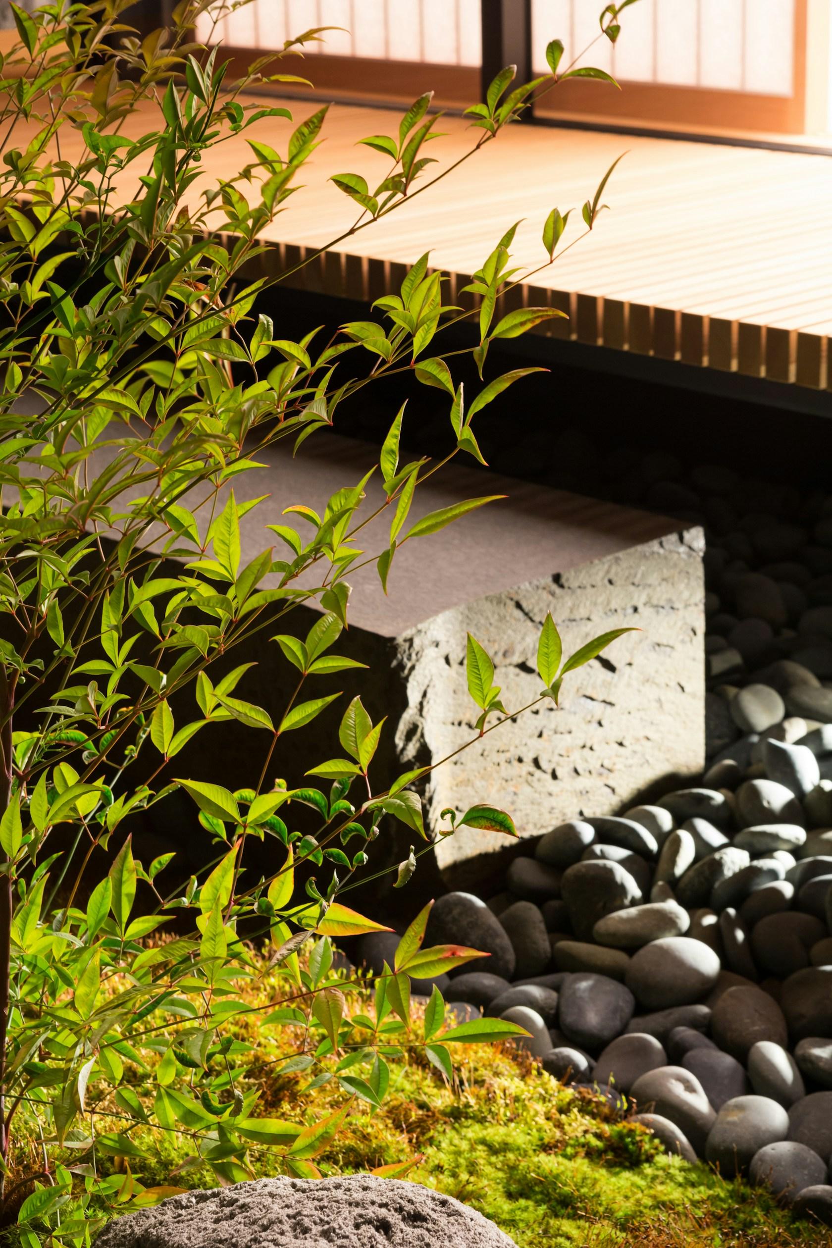 Teahouse in Coal Harbour - image 12