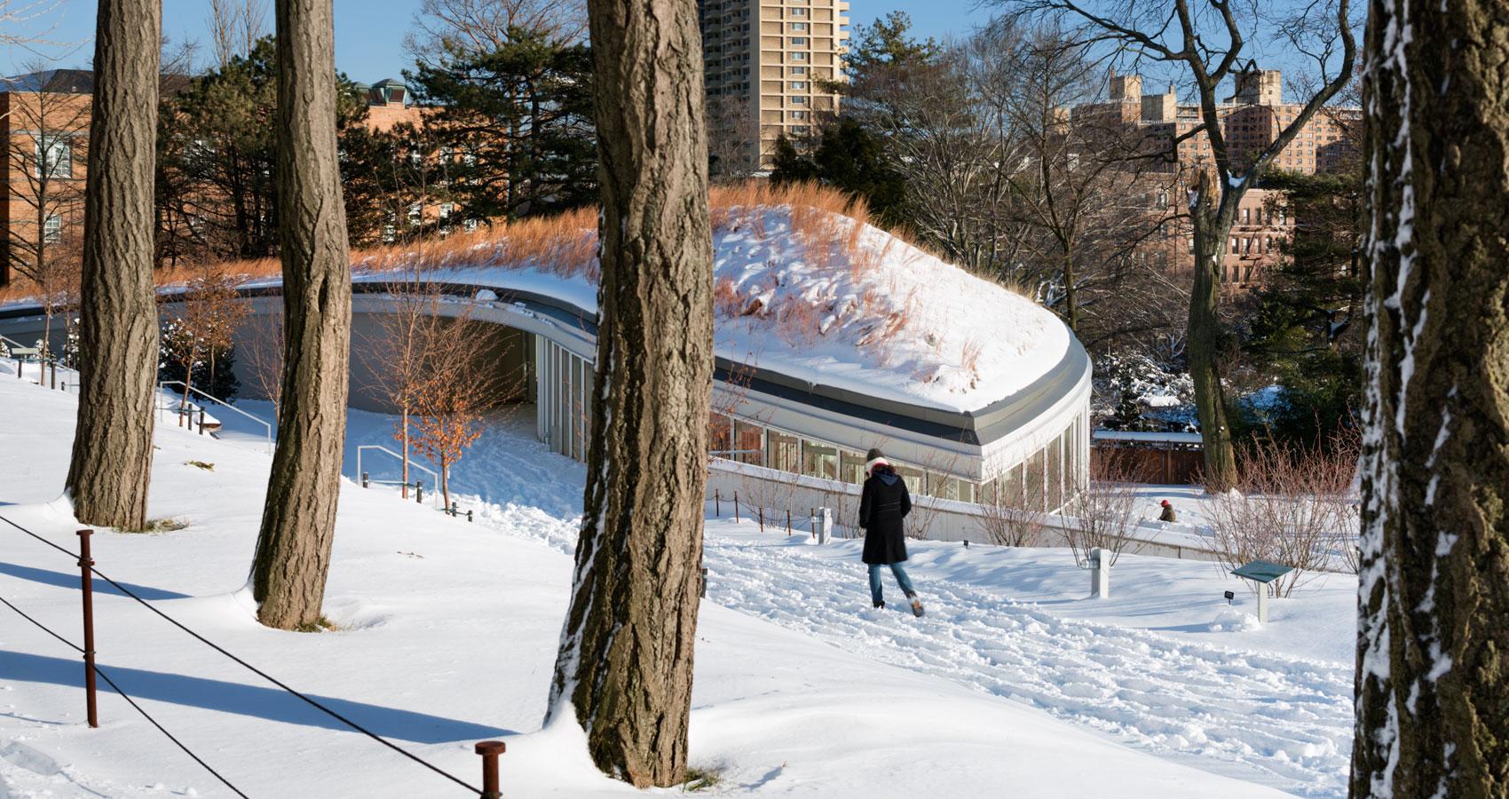 Brooklyn Botanic Garden Visitor Center - image 10