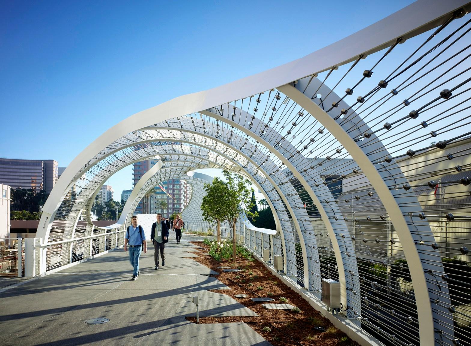 Rainbow Bridge - image 5