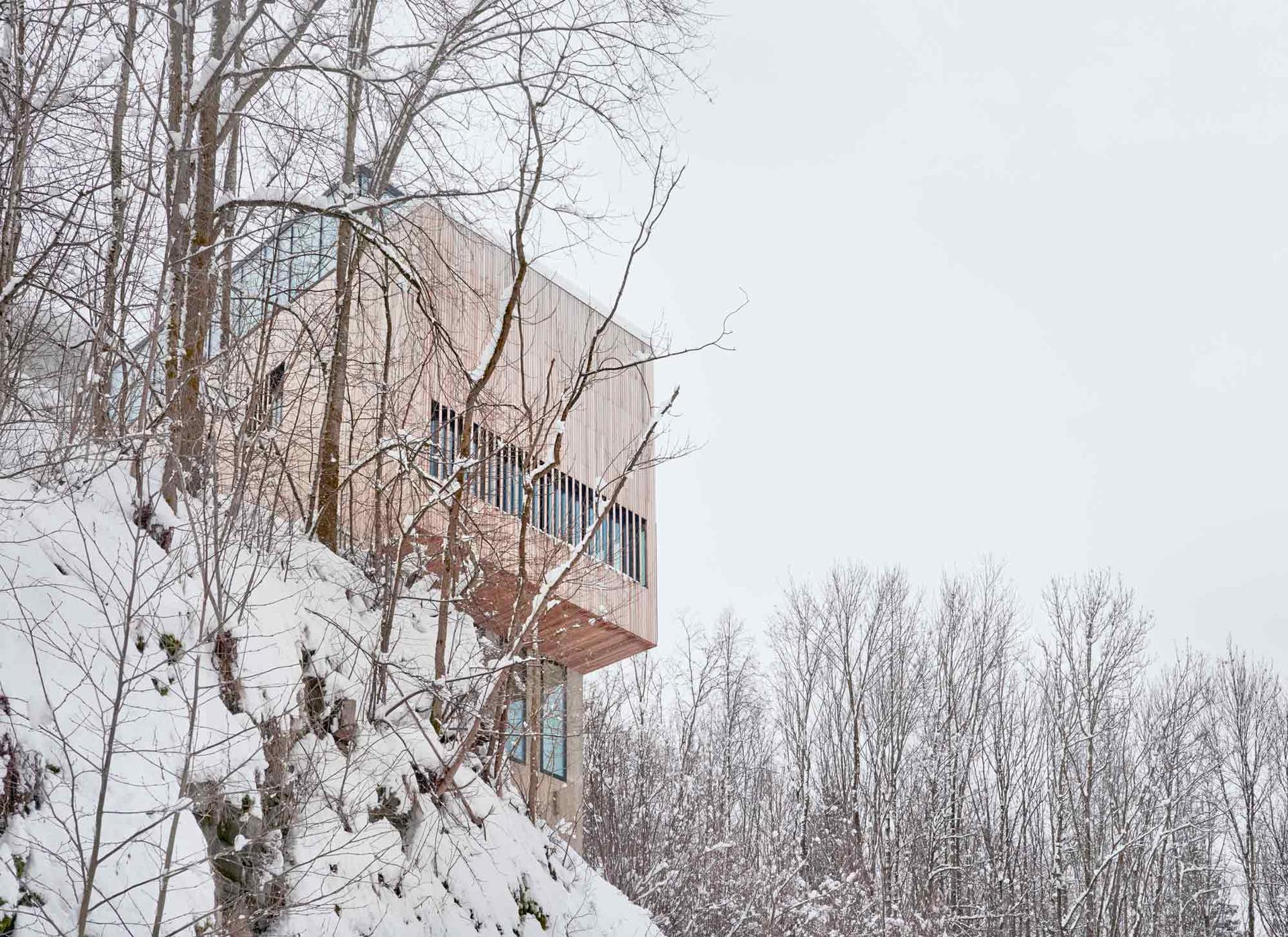 Two-in-One House - image 5