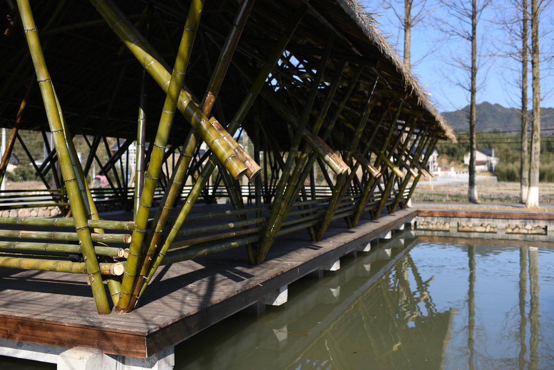 Taiyang Commune - image 3