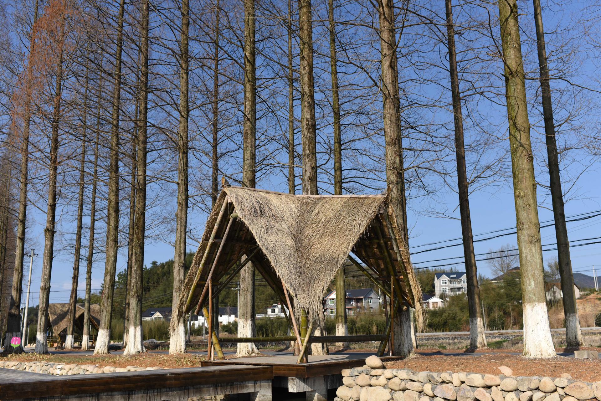 Taiyang Commune - image 2