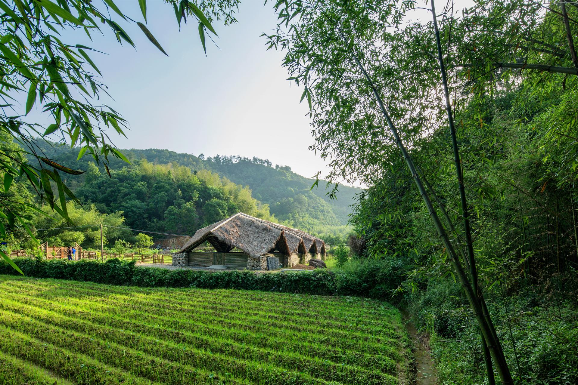 Taiyang Commune - image 6