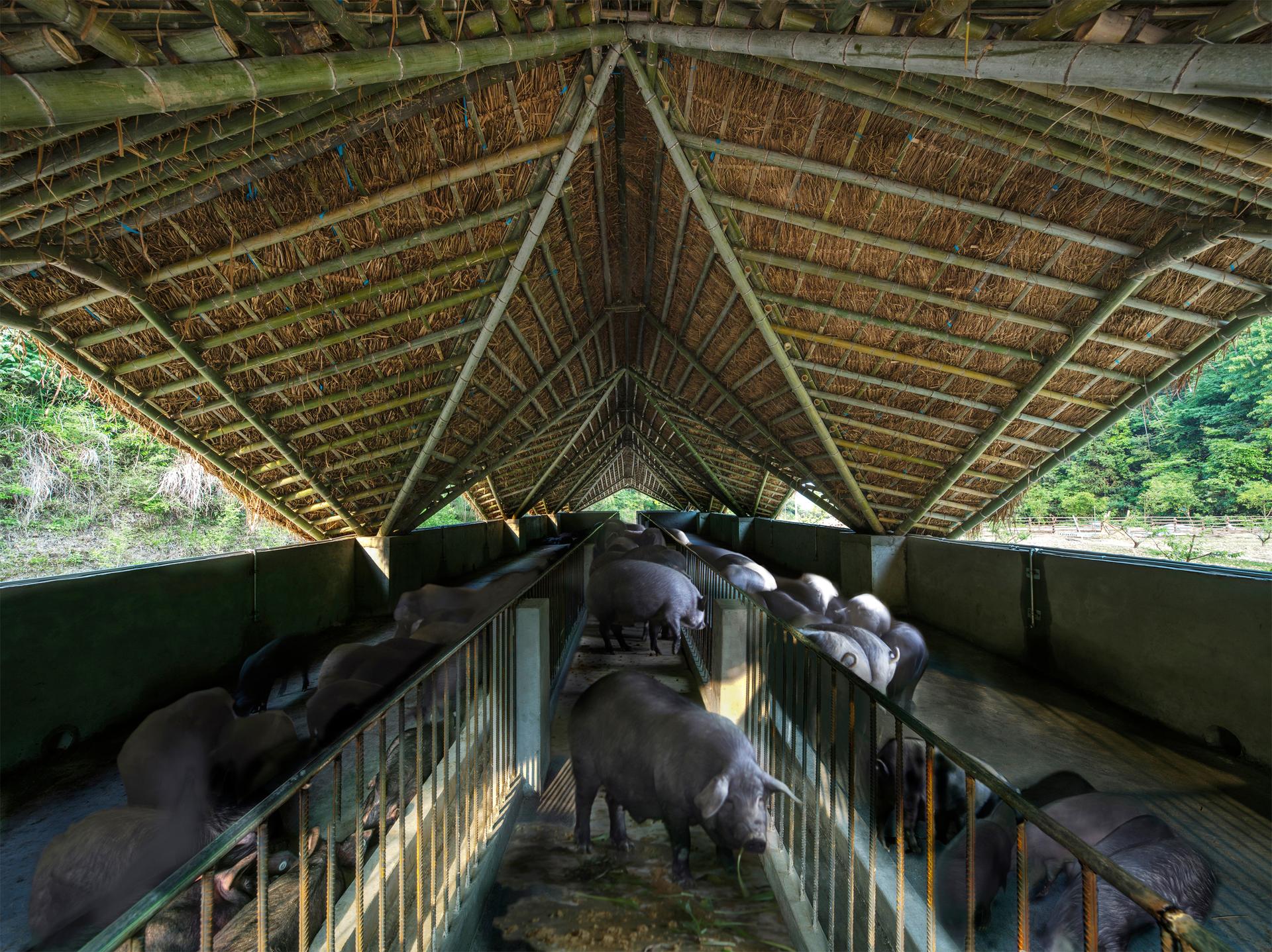 Taiyang Commune - image 7