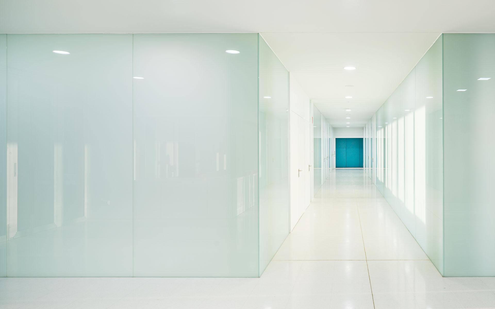 THE ALMOST INVISIBLE SCHOOL - image 12