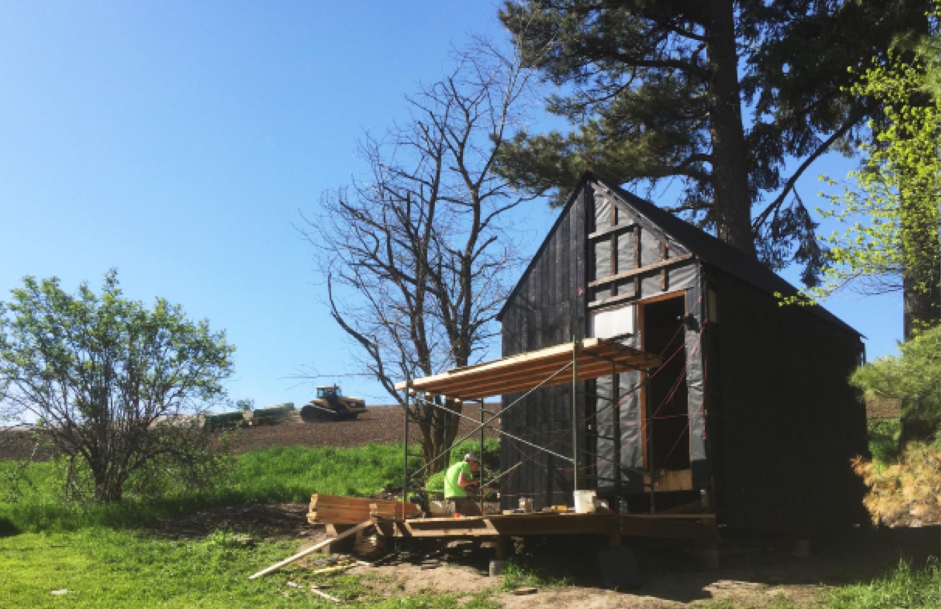 Black Shed - image 6