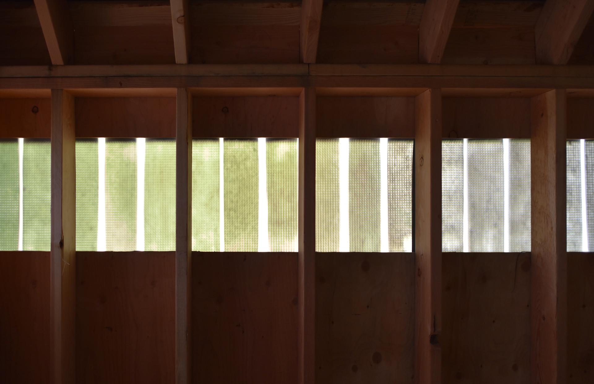 Black Shed - image 5