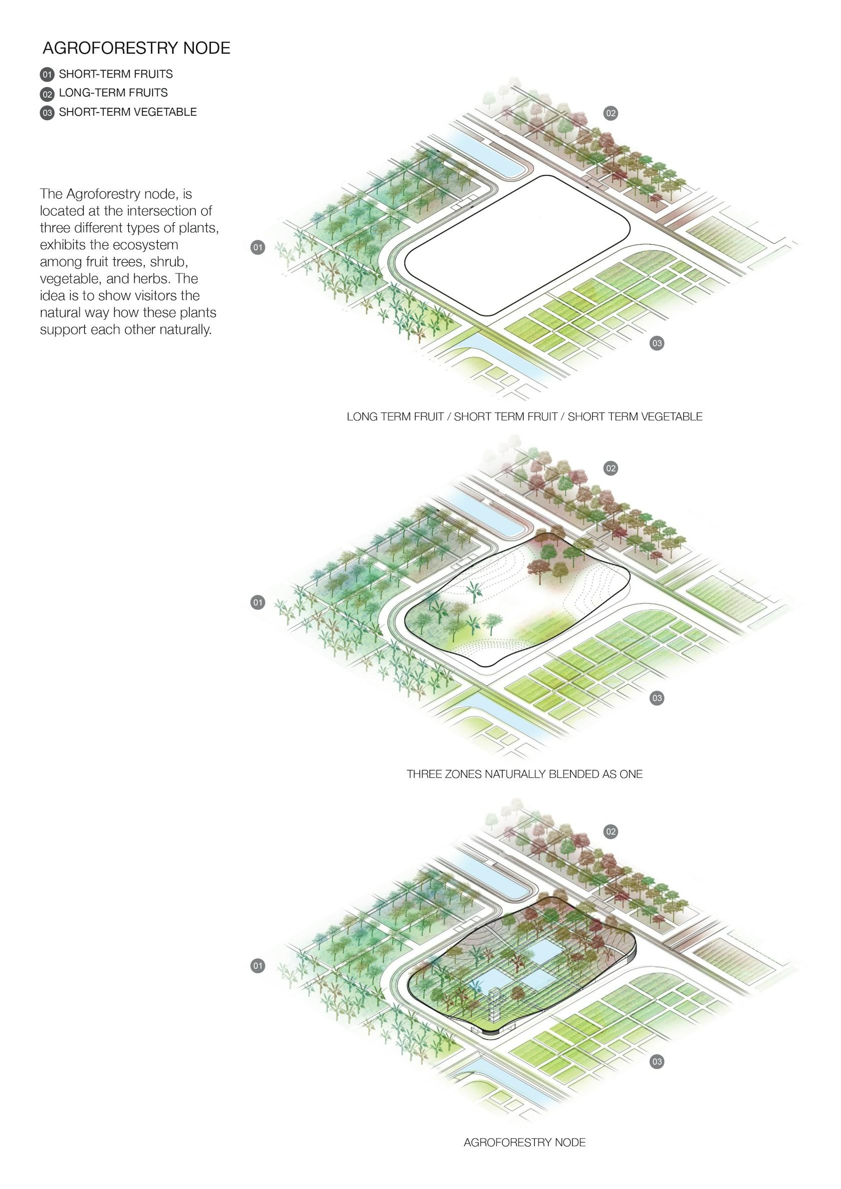 CUCHI ORGANIC ECO FARM - image 7