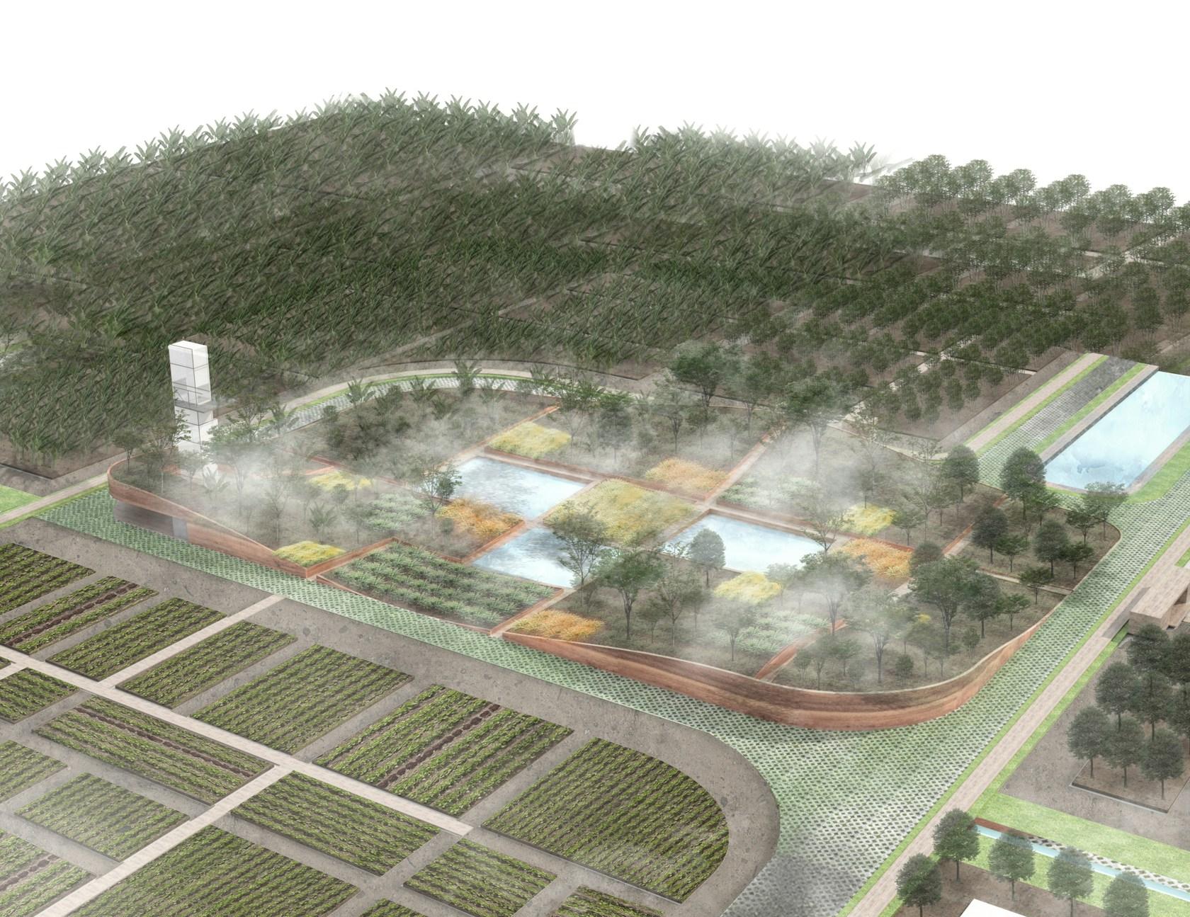 CUCHI ORGANIC ECO FARM - image 8