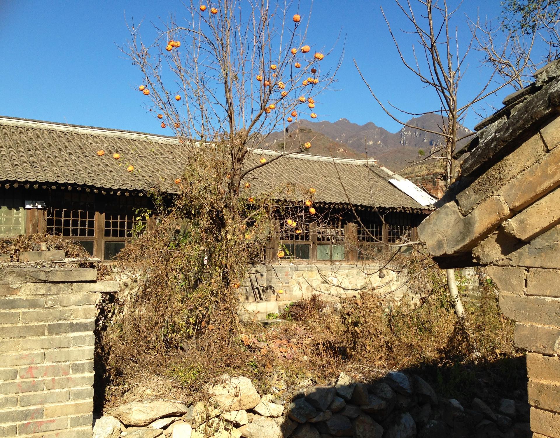 Studio Cottage - image 8