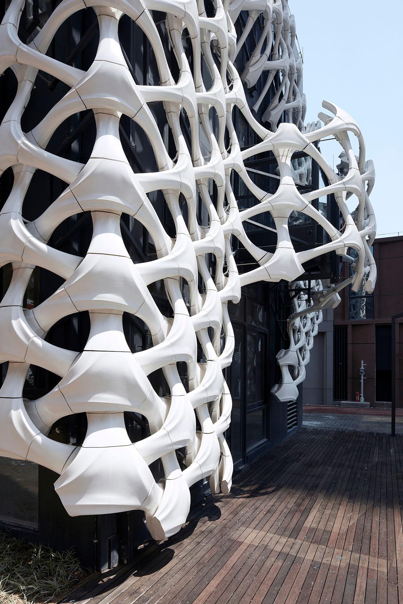 Arachne - image 14