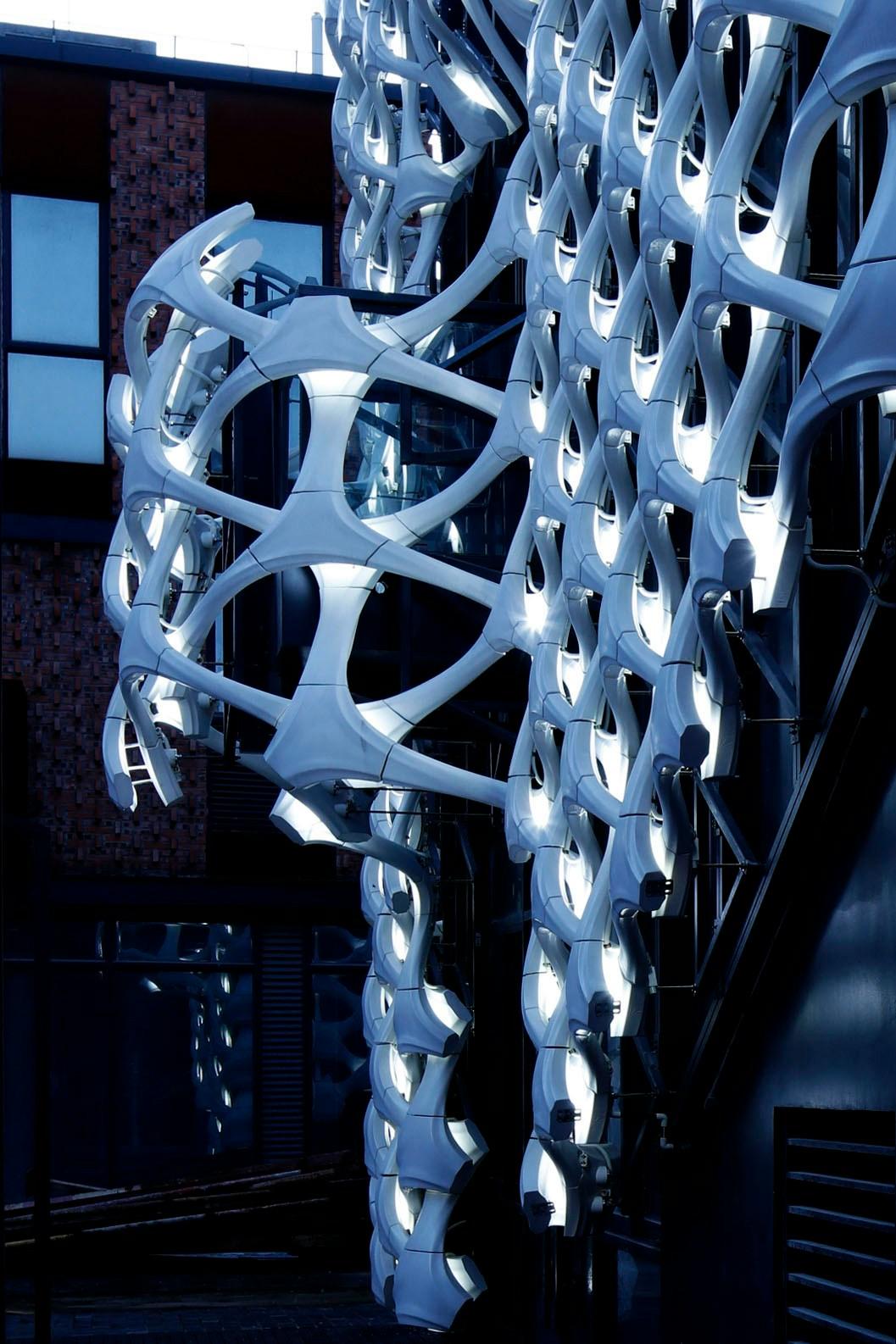 Arachne - image 4