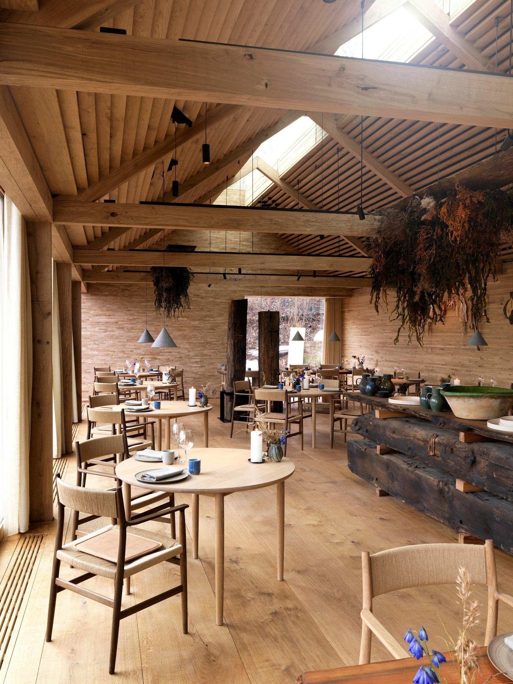 noma - image 4
