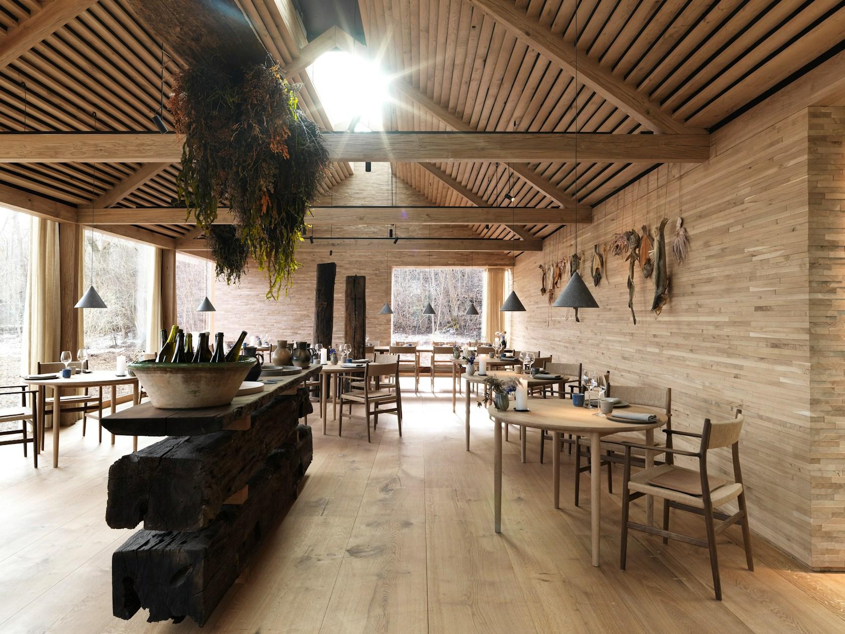 noma - image 2