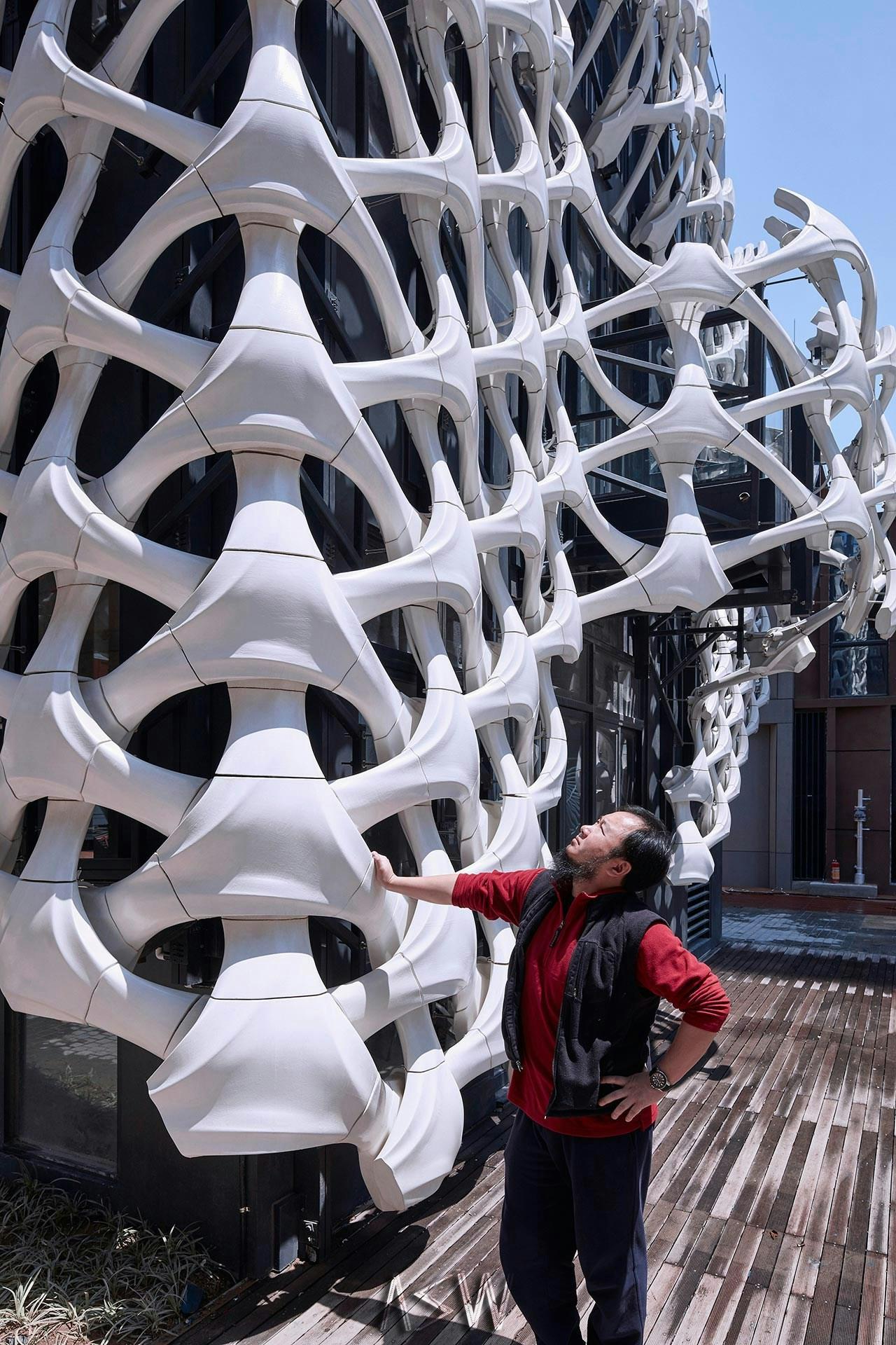 Arachne - image 6