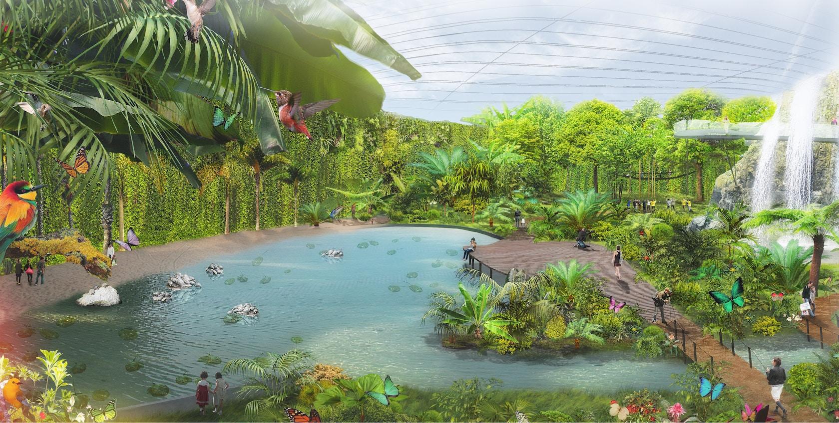 Tropicalia - image 6