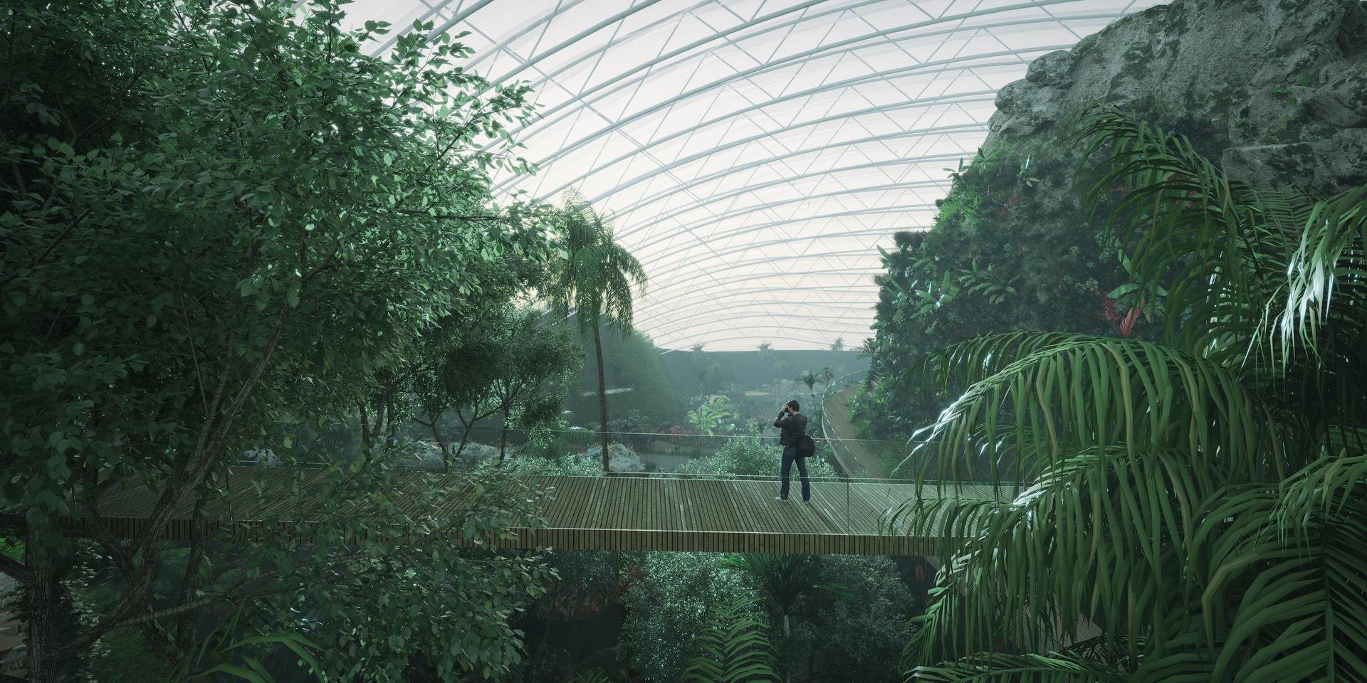 Tropicalia - image 2