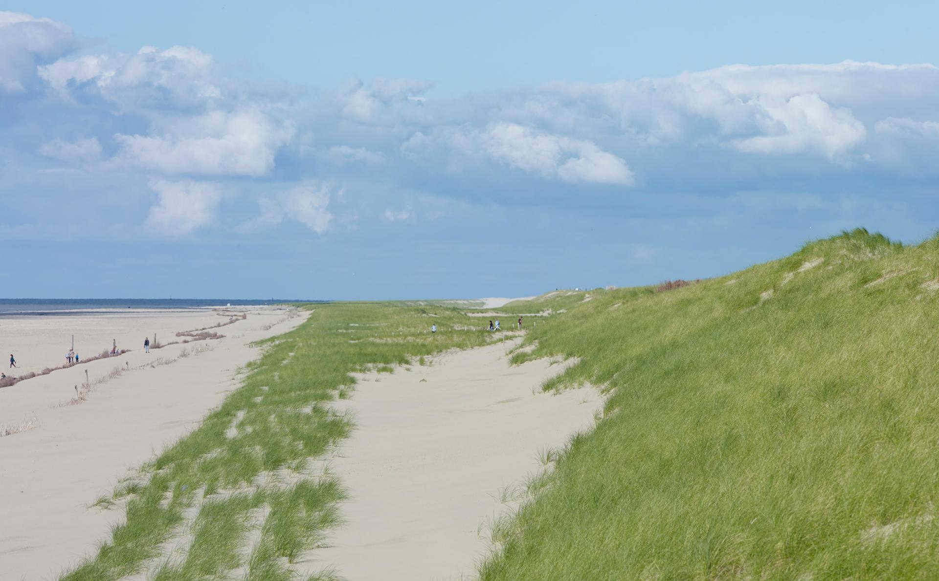 The New Hondsbossche Dunes - image 3