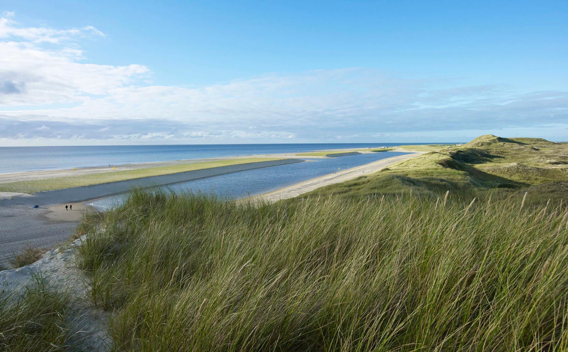 The New Hondsbossche Dunes - image 6