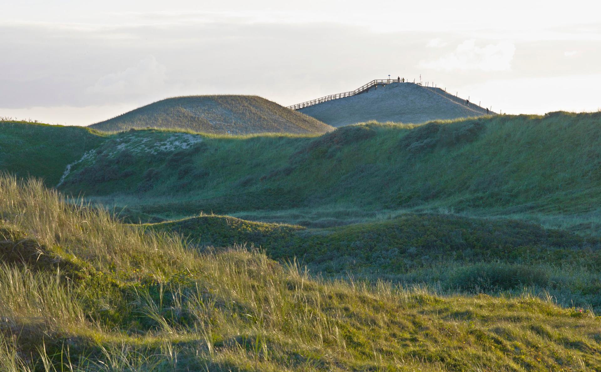 The New Hondsbossche Dunes - image 5