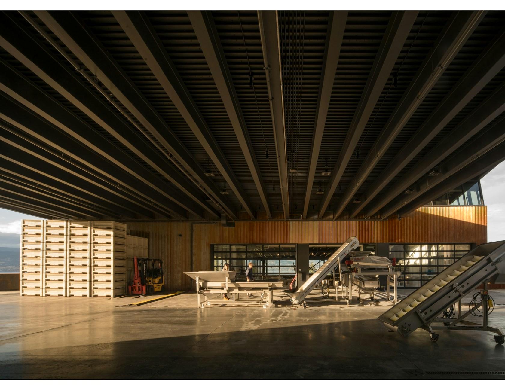 Martin's Lane Winery - image 5