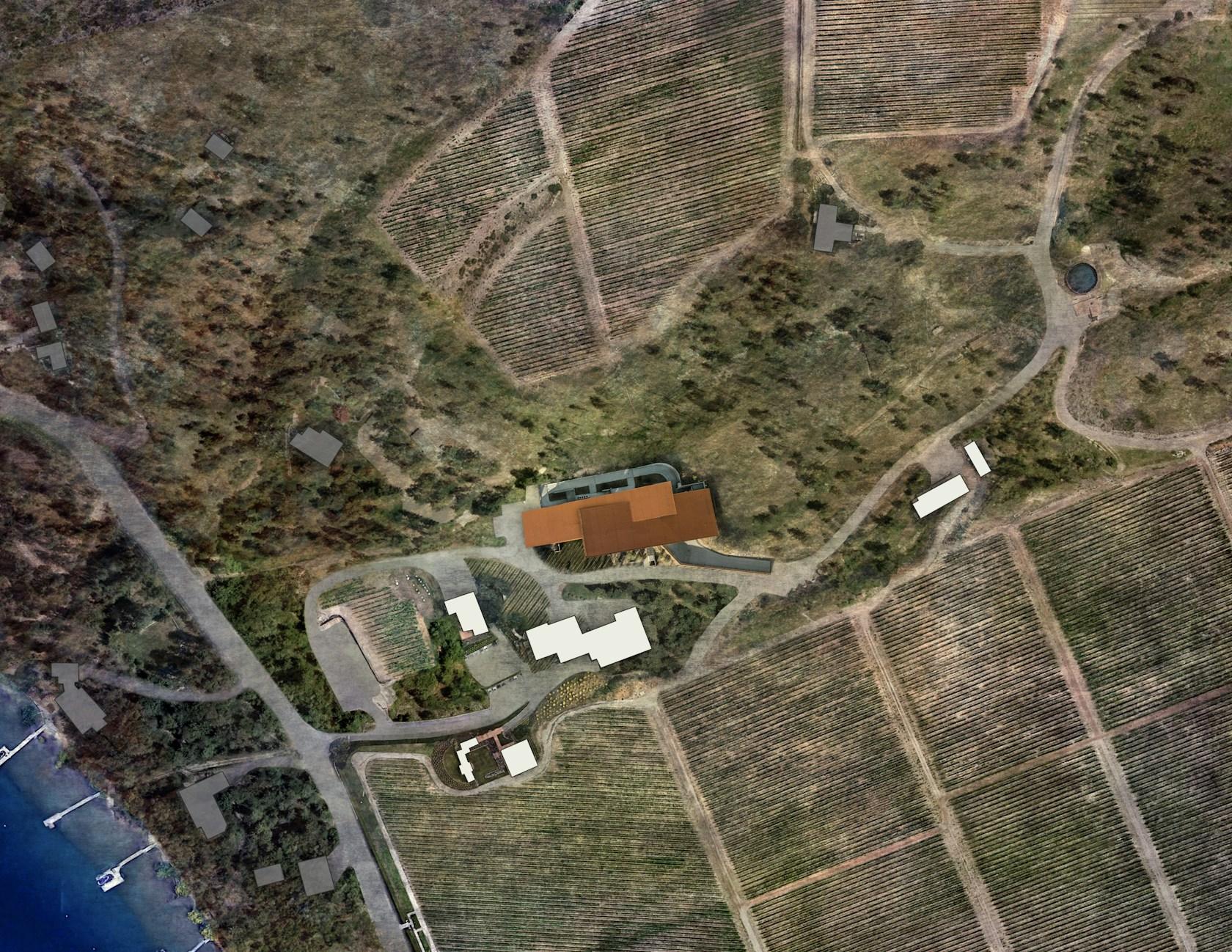 Martin's Lane Winery - image 6
