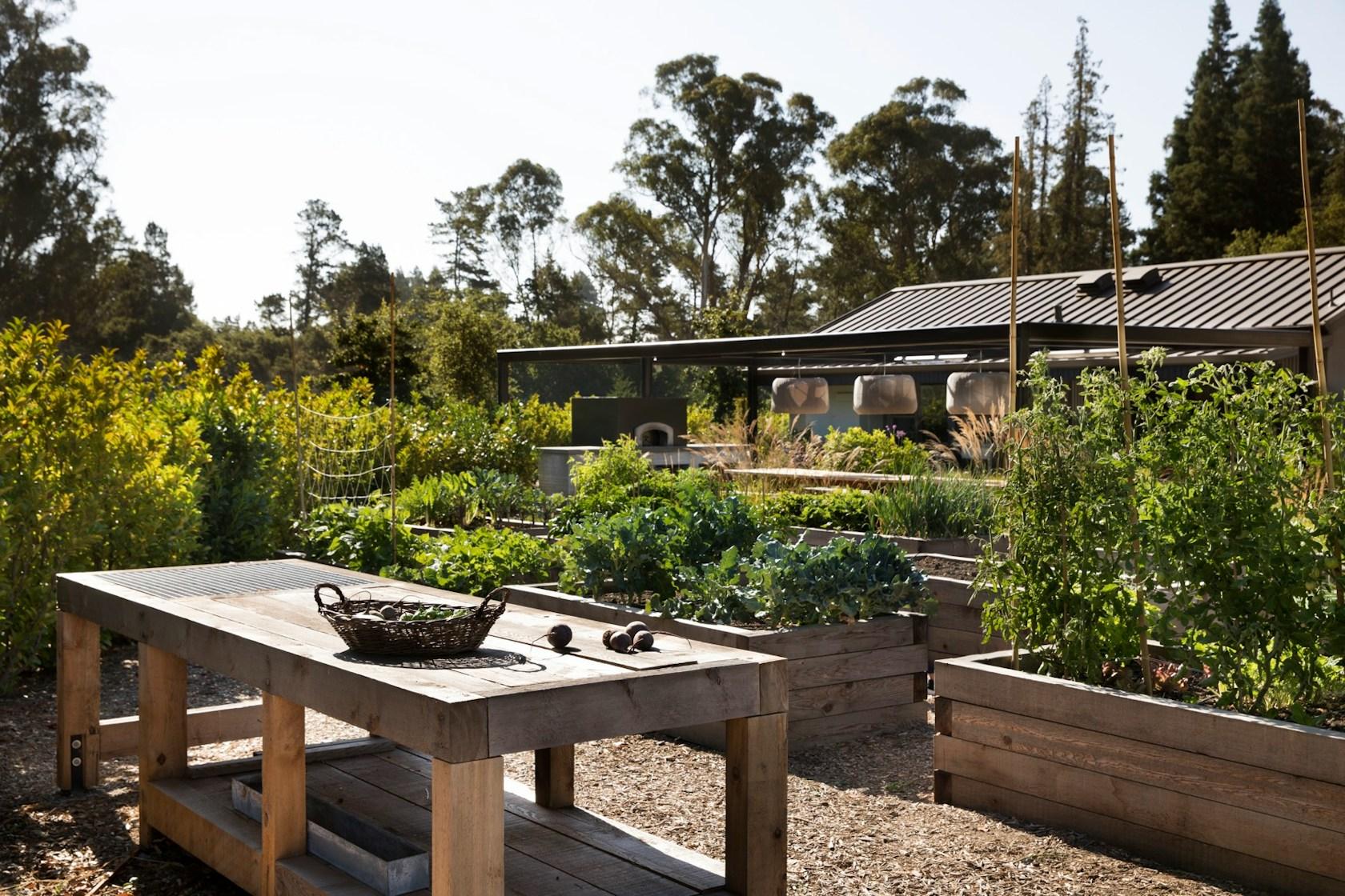 Farm to Table - image 2