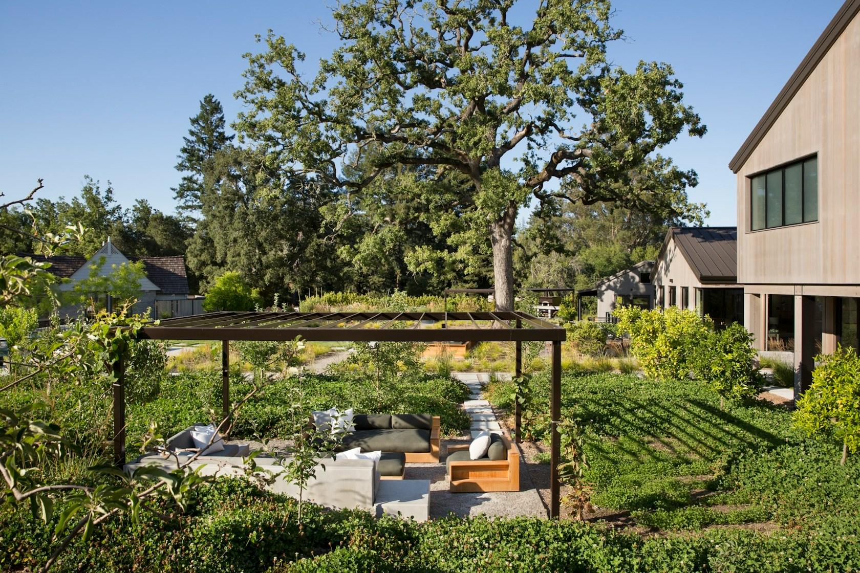 Farm to Table - image 3