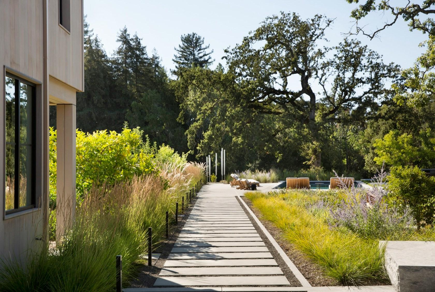 Farm to Table - image 6