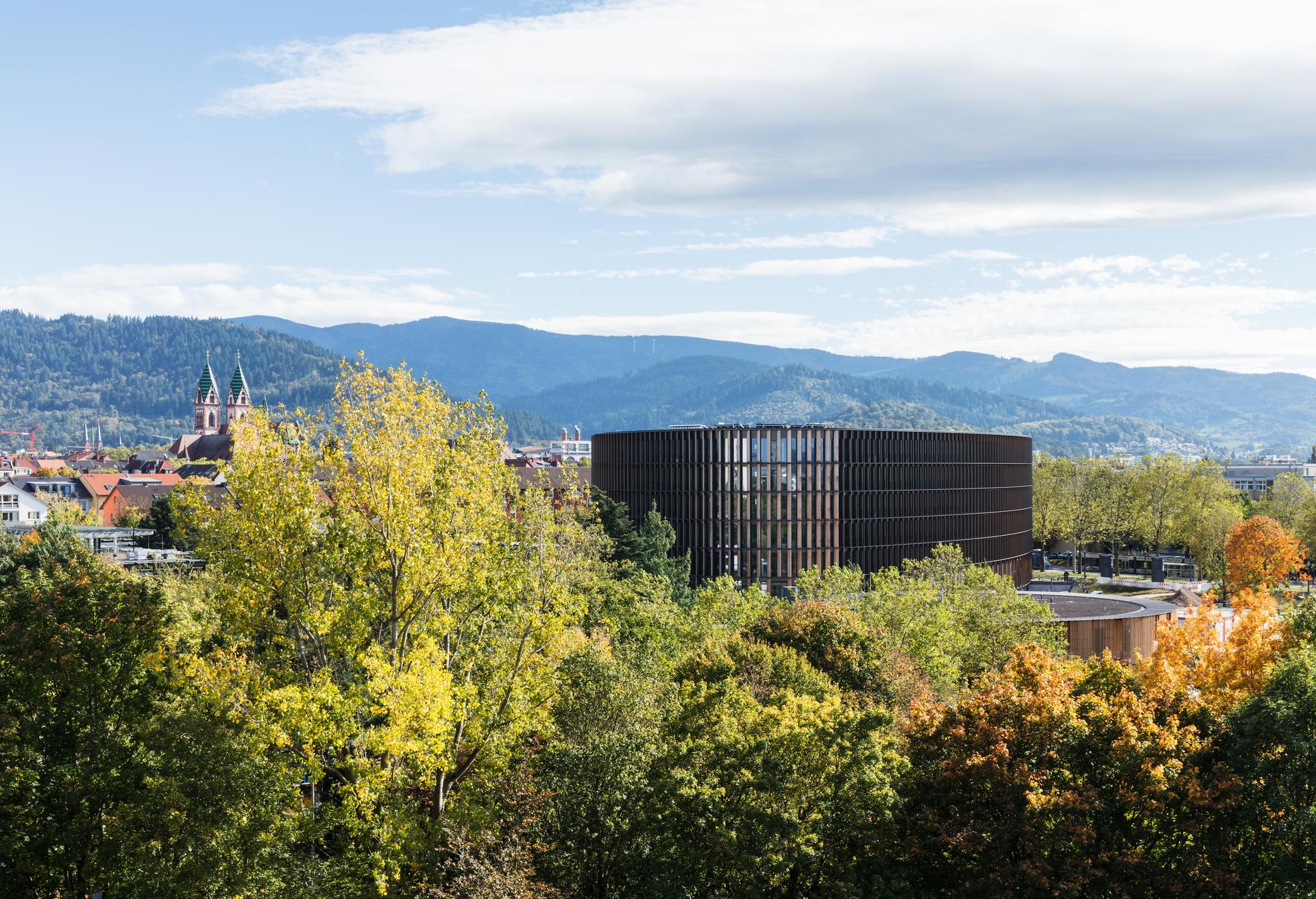 Freiburg Town Hall - image 9