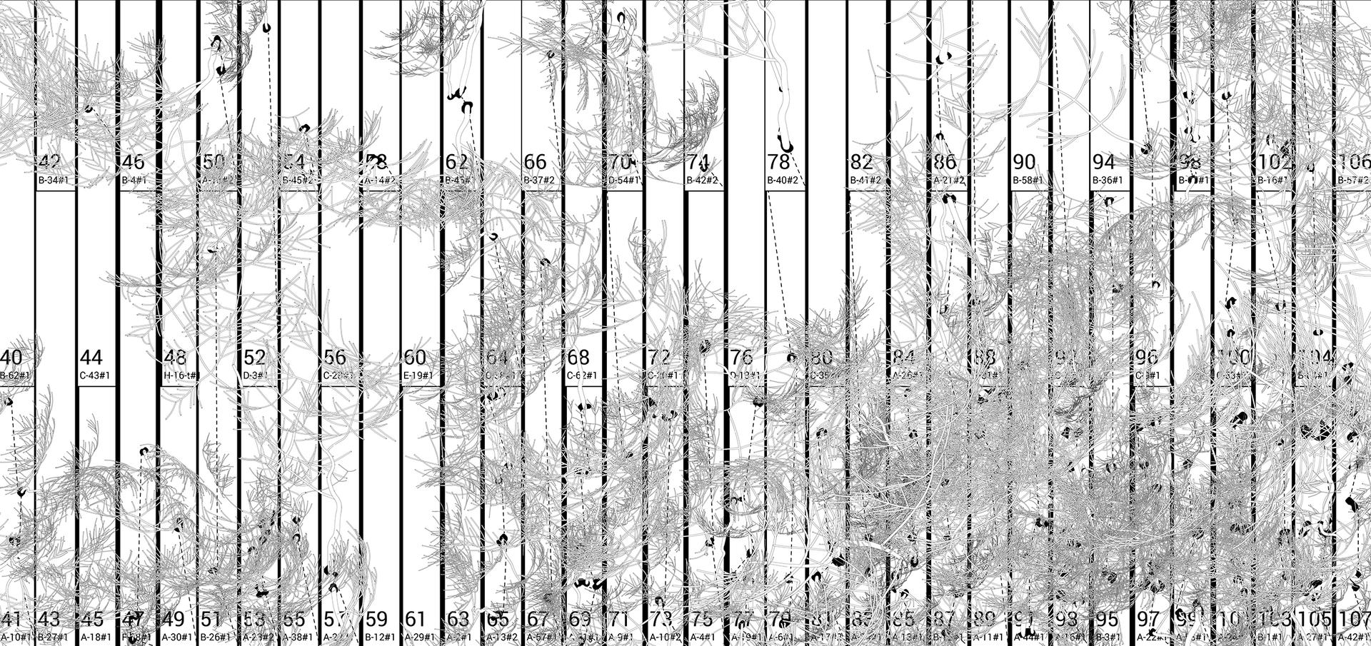 Embodied Computation Lab - image 9
