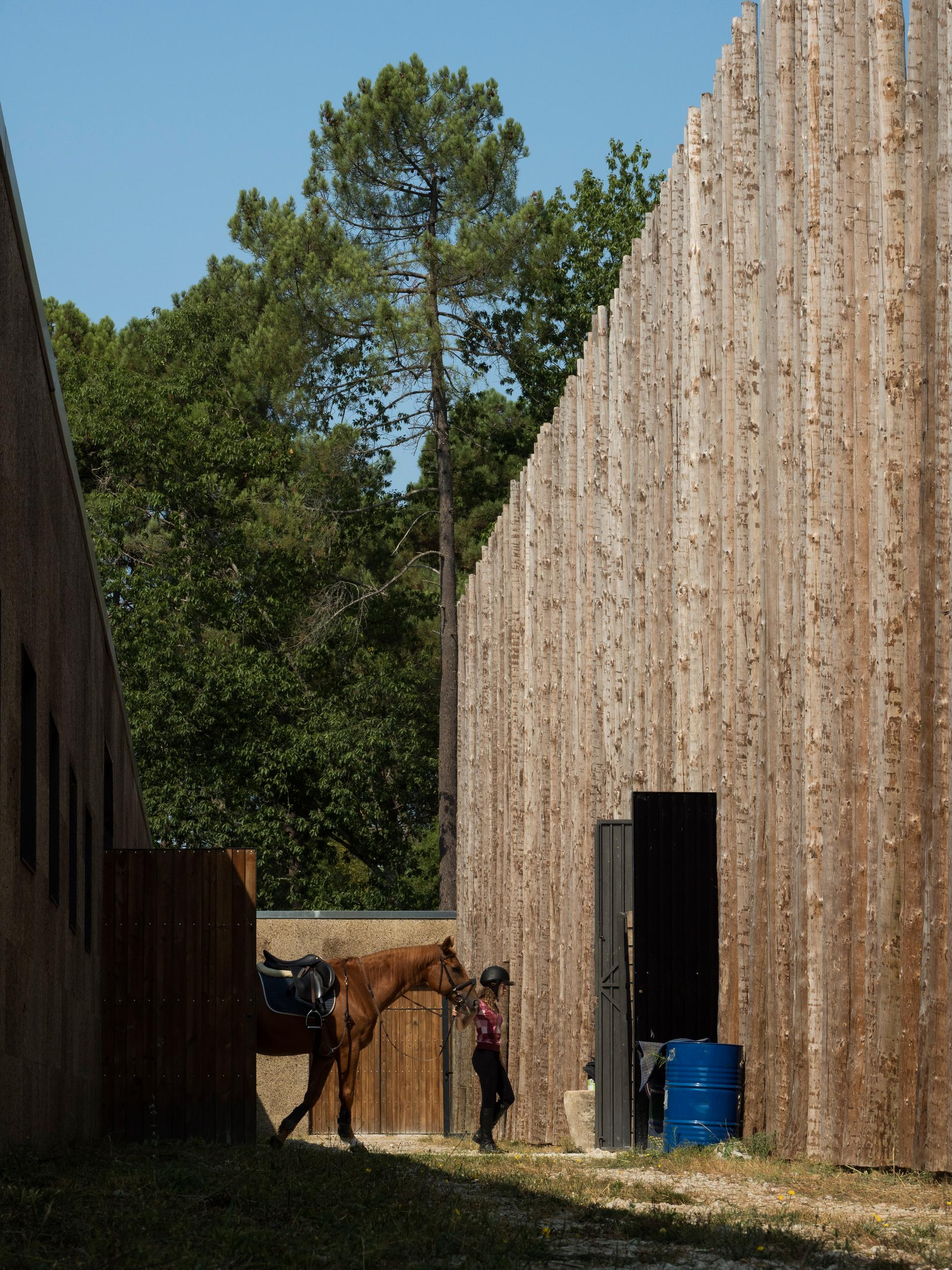 Horse Riding Centre in Pedras Salgadas - image 5