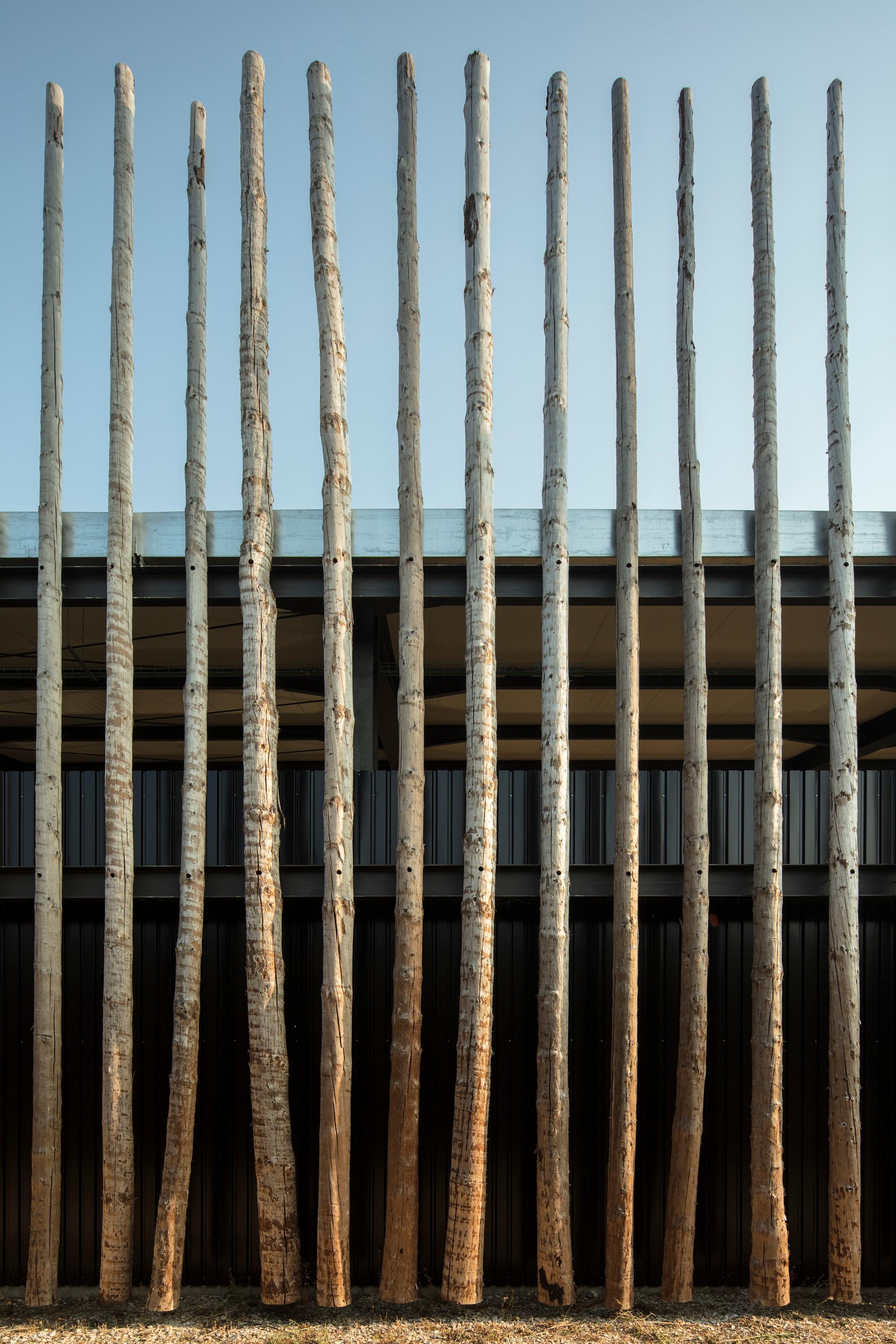 Horse Riding Centre in Pedras Salgadas - image 8