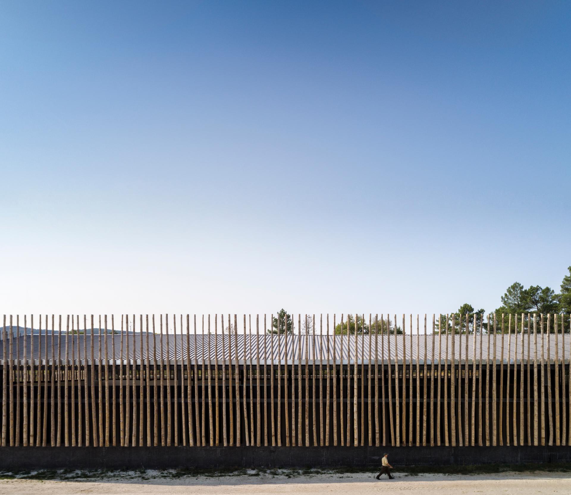 Horse Riding Centre in Pedras Salgadas - image 6