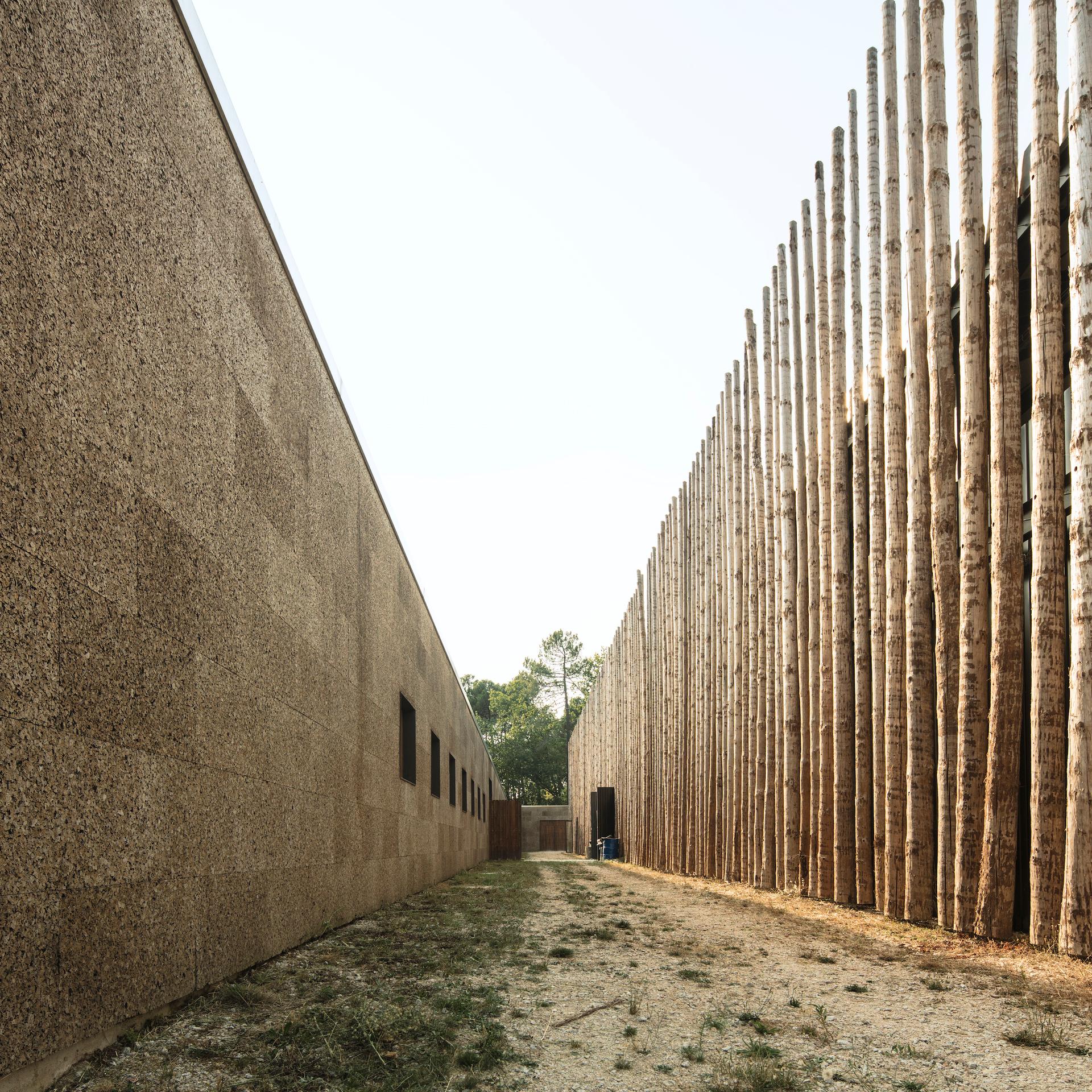 Horse Riding Centre in Pedras Salgadas - image 4