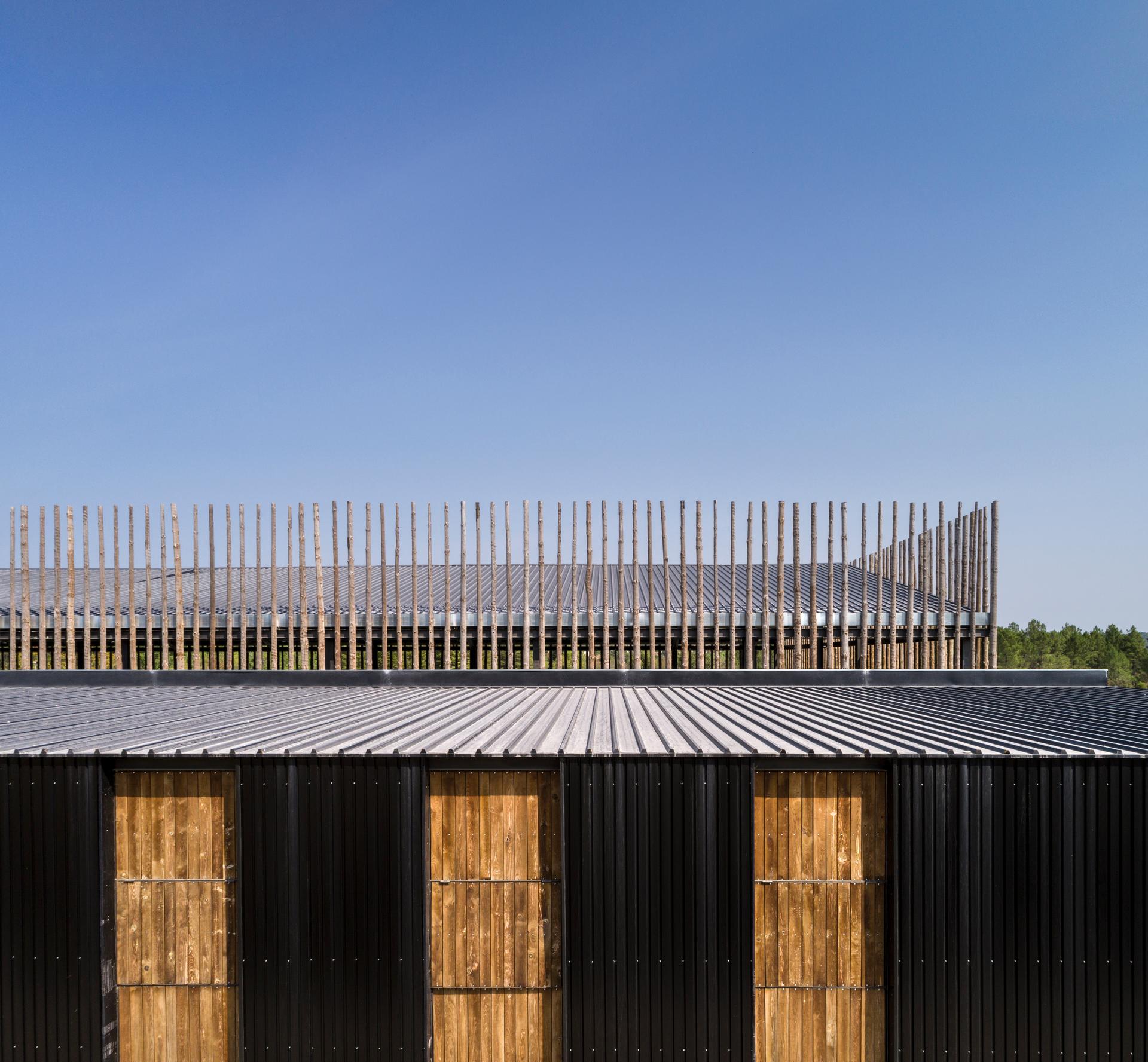 Horse Riding Centre in Pedras Salgadas - image 7